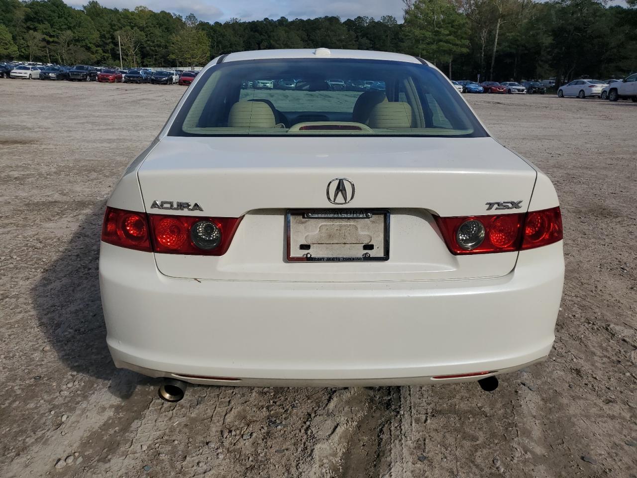 2008 Acura Tsx VIN: JH4CL96868C000437 Lot: 82480065
