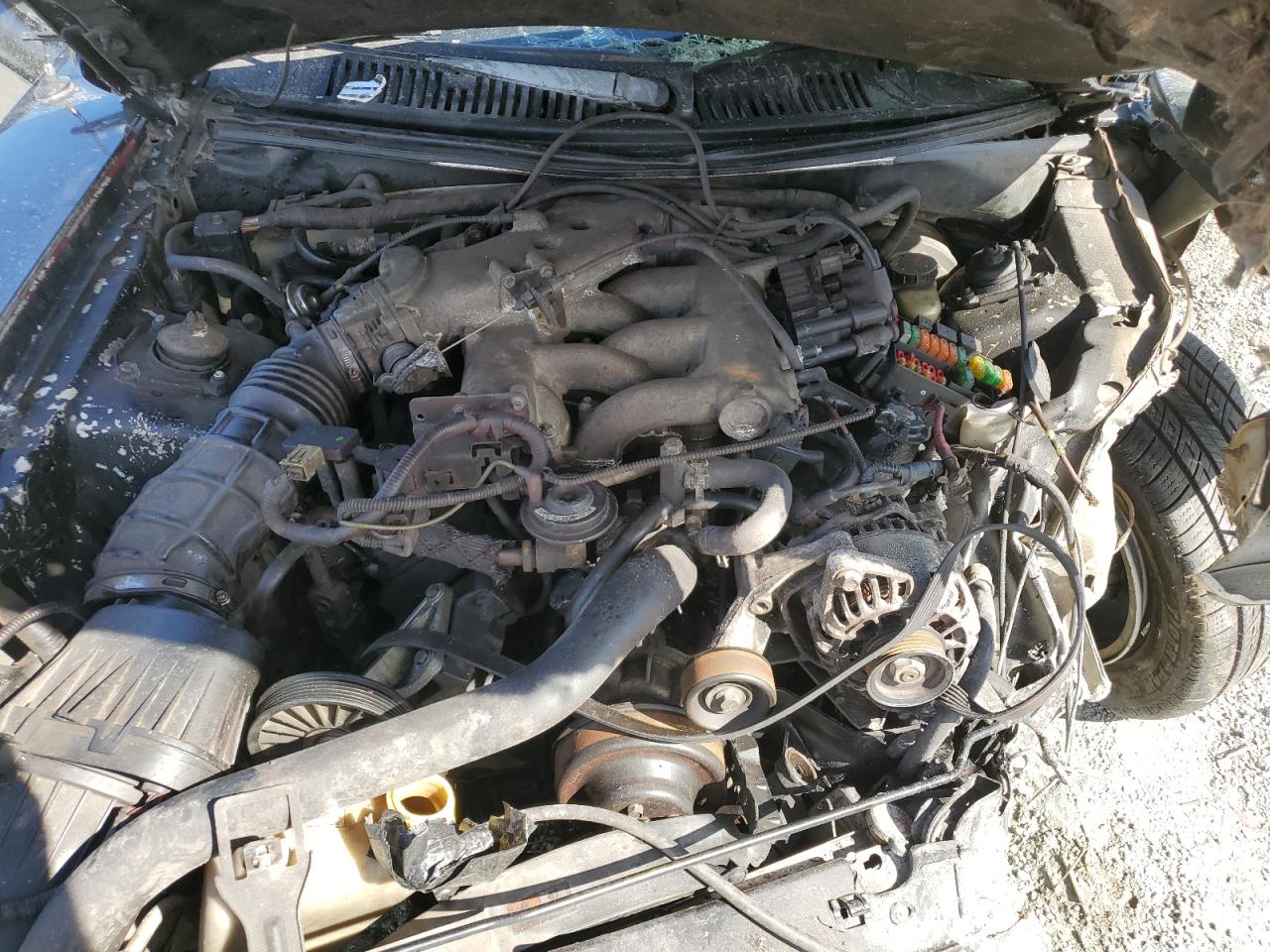 2001 Ford Mustang VIN: 1FAFP40441F127371 Lot: 82411125