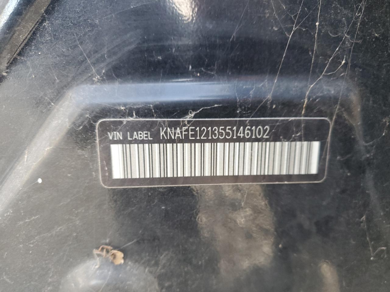 2005 Kia Spectra Lx VIN: KNAFE121355146102 Lot: 86250985