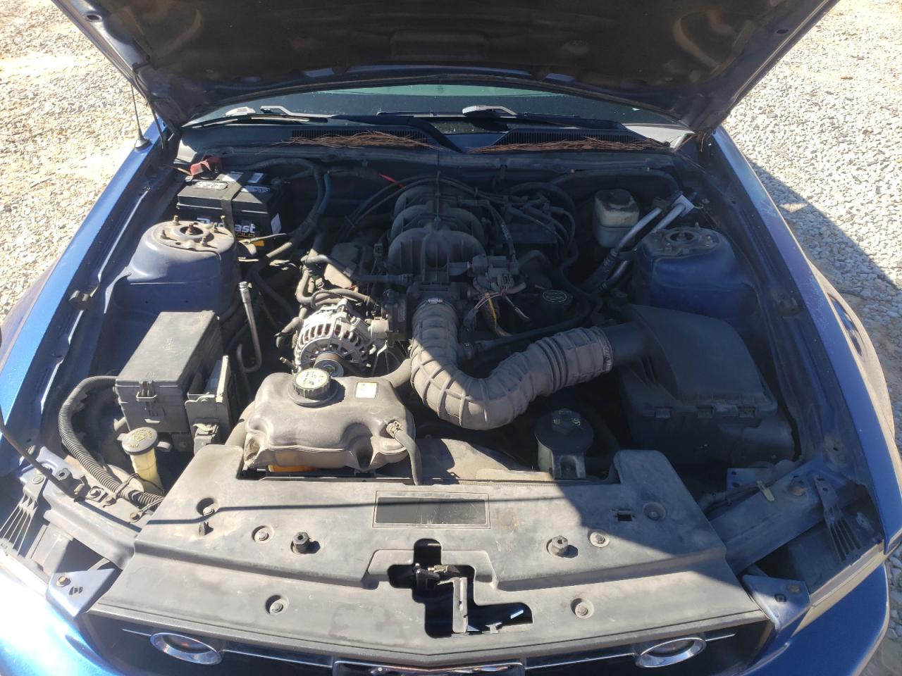 2008 Ford Mustang VIN: 1ZVHT80N285155570 Lot: 85408105