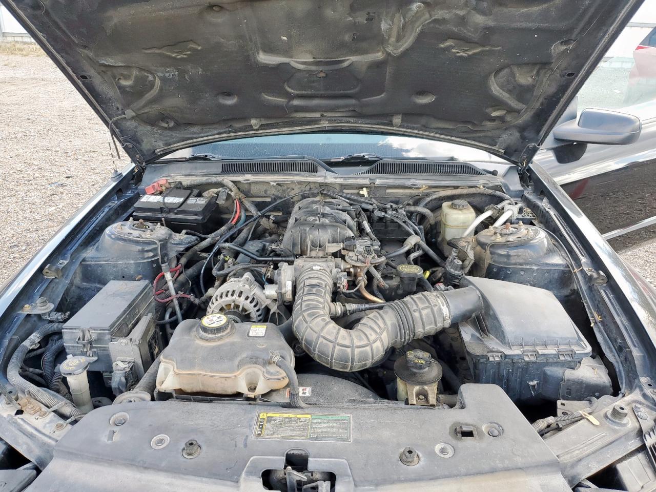 2006 Ford Mustang VIN: 1ZVFT80NX65158401 Lot: 85319685