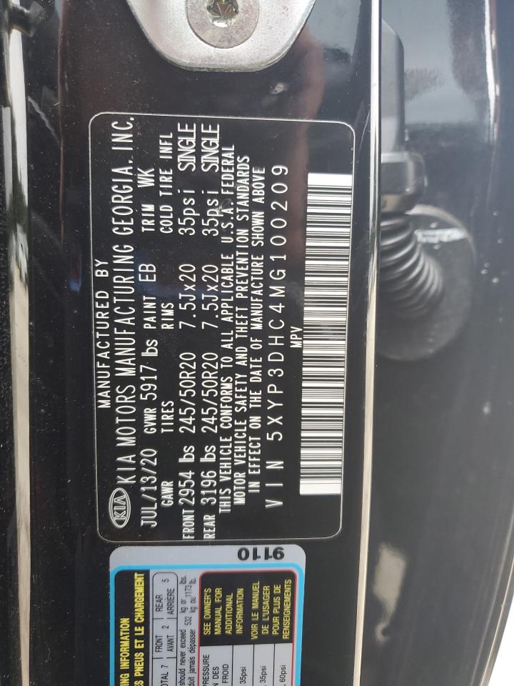 2021 Kia Telluride Ex VIN: 5XYP3DHC4MG100209 Lot: 86122125