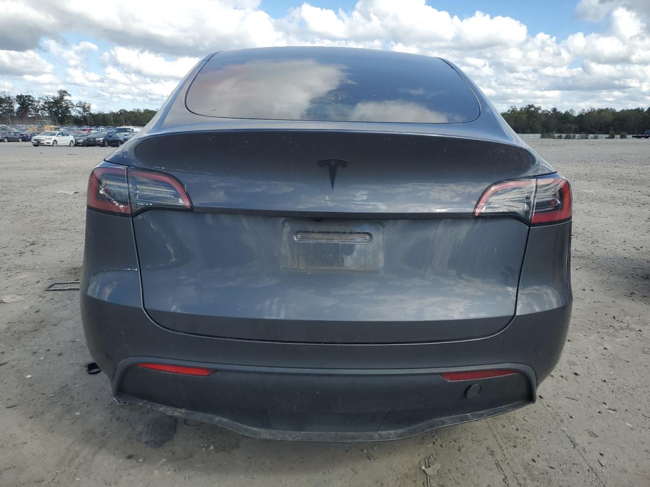 2023 Tesla Model Y VIN: 7SAYGDEE0PF842135 Lot: 84906025