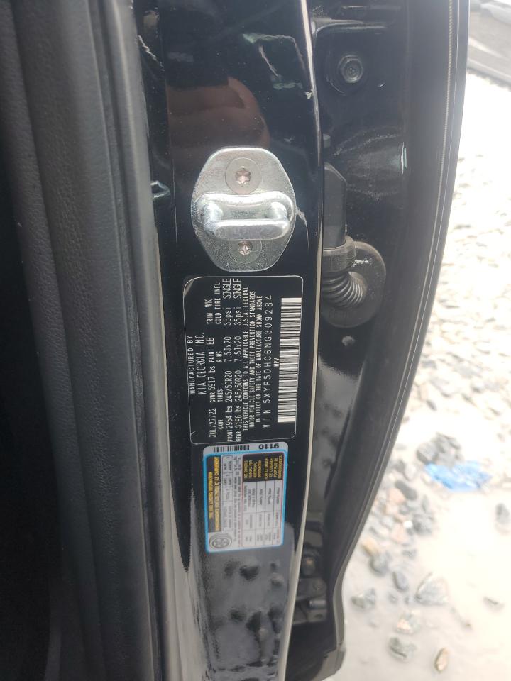 2022 Kia Telluride Sx VIN: 5XYP5DHC6NG309284 Lot: 84994445