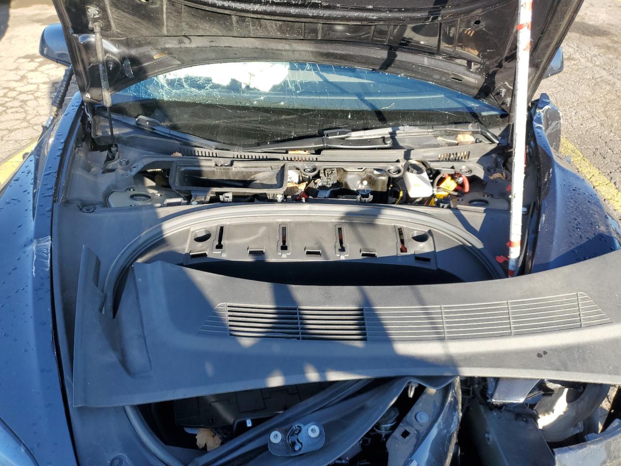 2024 Tesla Model 3 VIN: 5YJ3E1EB3RF754412 Lot: 89611125