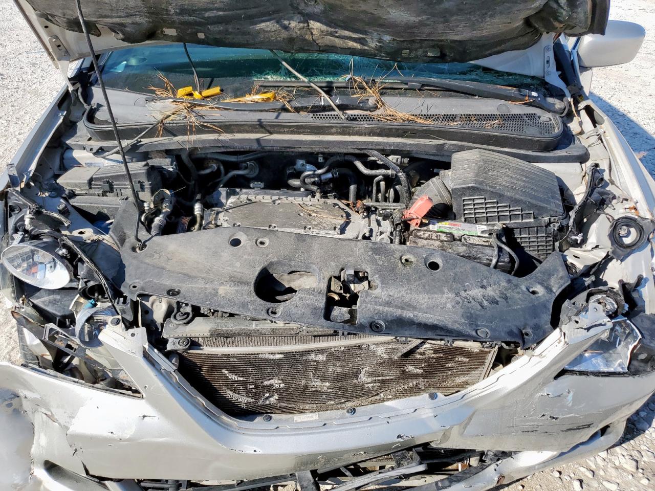 2006 Honda Odyssey Exl VIN: 5FNRL38766B428604 Lot: 86267465