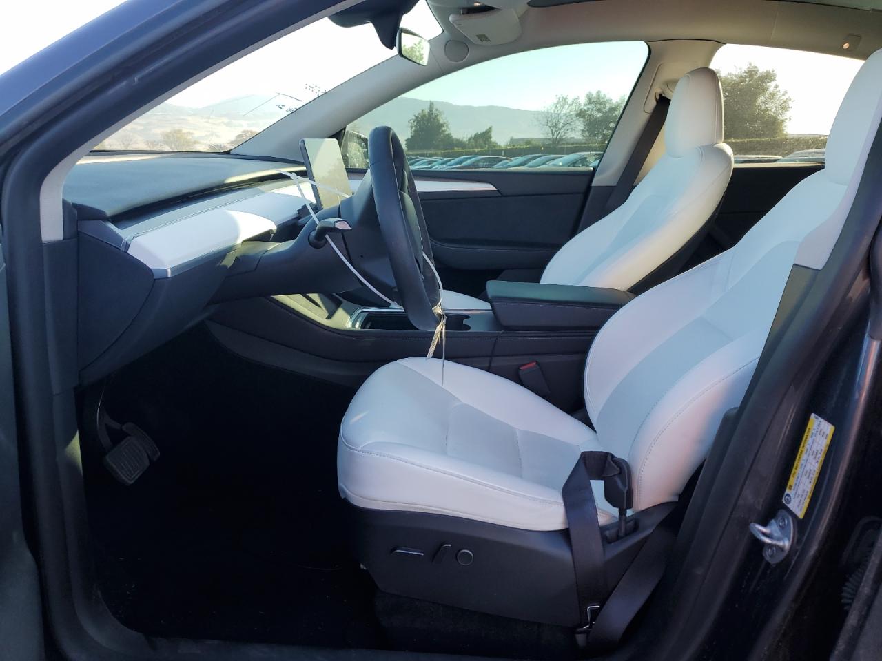 2023 Tesla Model Y VIN: 7SAYGDEE8PF910424 Lot: 82636635