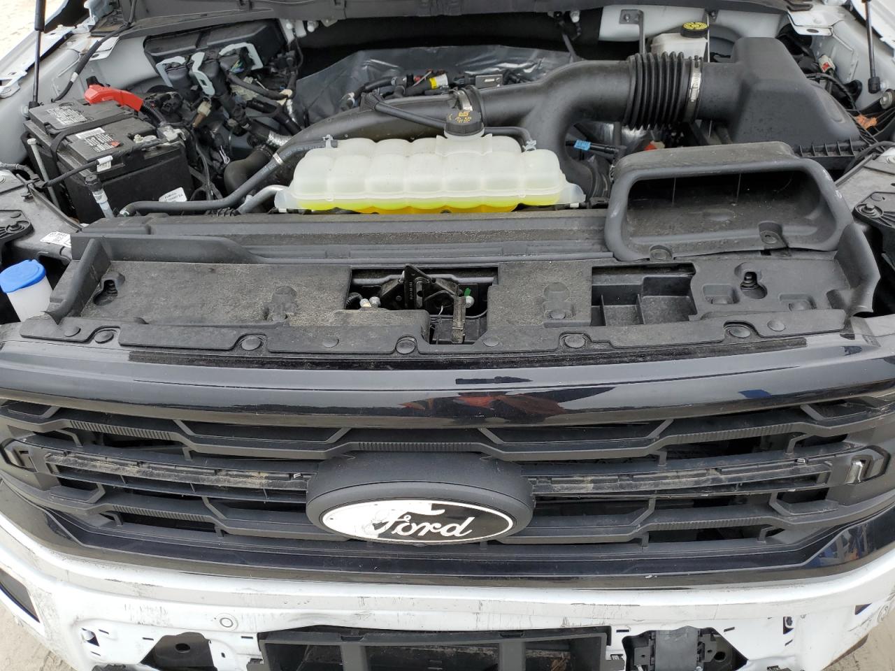 2024 Ford F150 Xlt VIN: 1FTEW3KP0RKF55080 Lot: 90422825