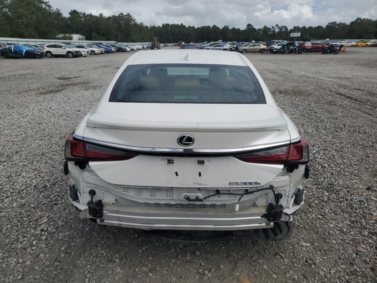 2021 Lexus Es 300H VIN: 58ADA1C18MU005846 Lot: 85724575