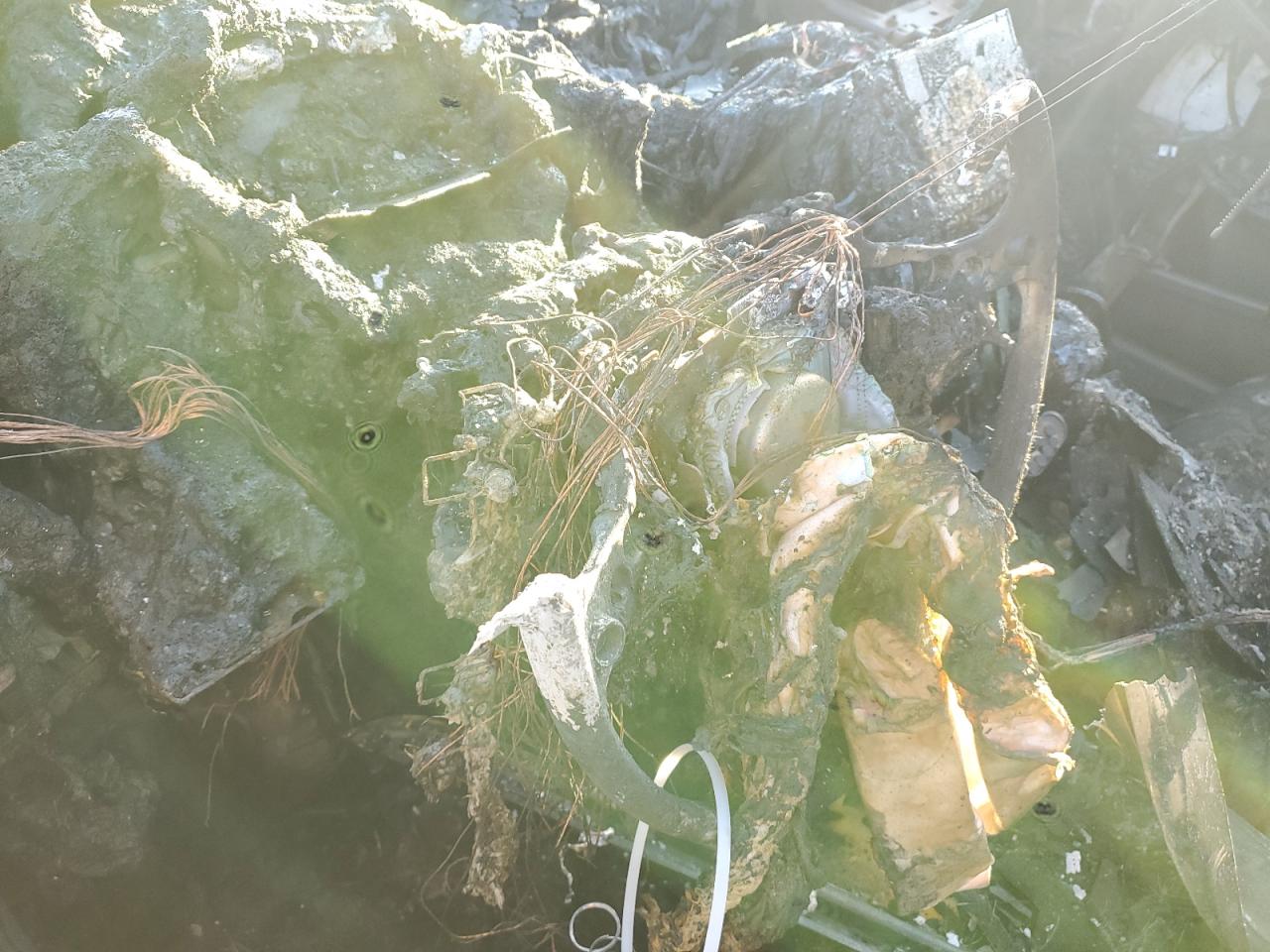 2021 Honda Civic Exl VIN: 2HGFC1F76MH706680 Lot: 82317095