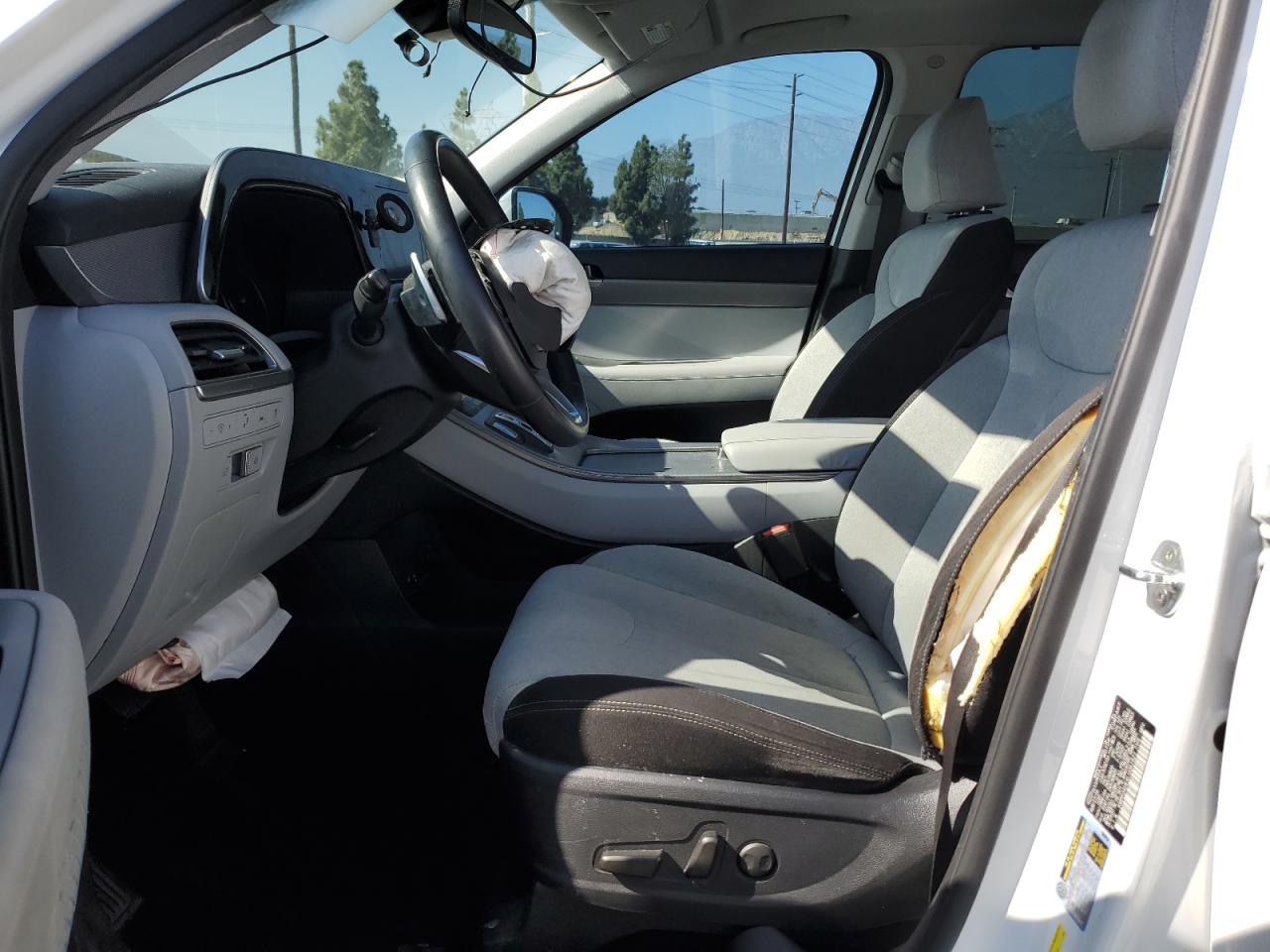 2020 Hyundai Palisade Sel VIN: KM8R34HE4LU061821 Lot: 85868105