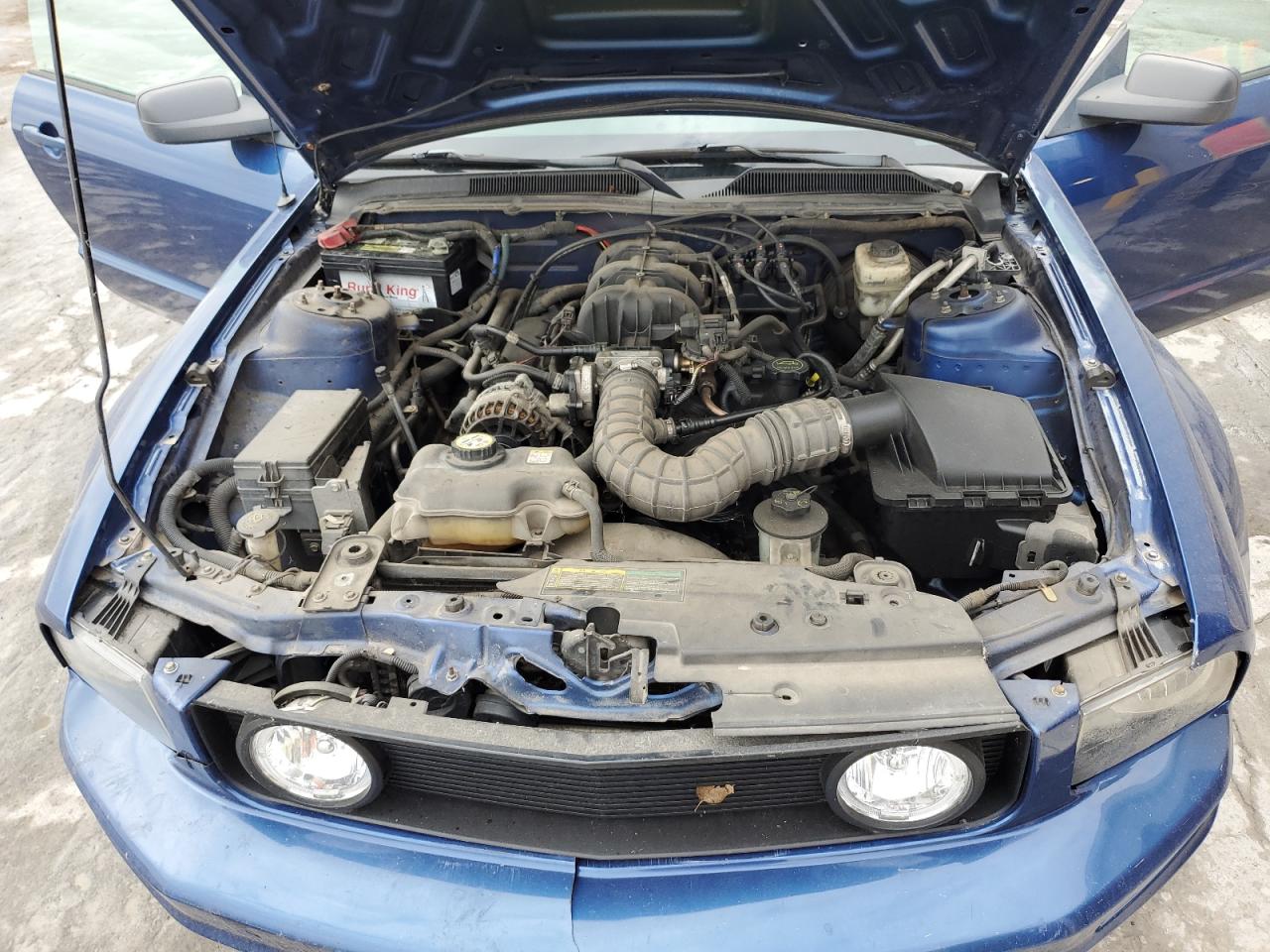 2007 Ford Mustang VIN: 1ZVFT80N175305884 Lot: 82240925