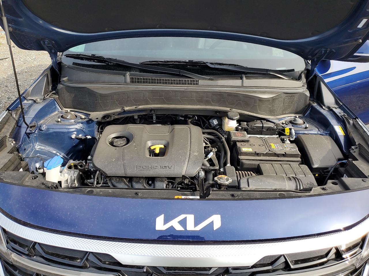 2025 Kia Seltos Ex VIN: KNDERCAA9S7774231 Lot: 82368455