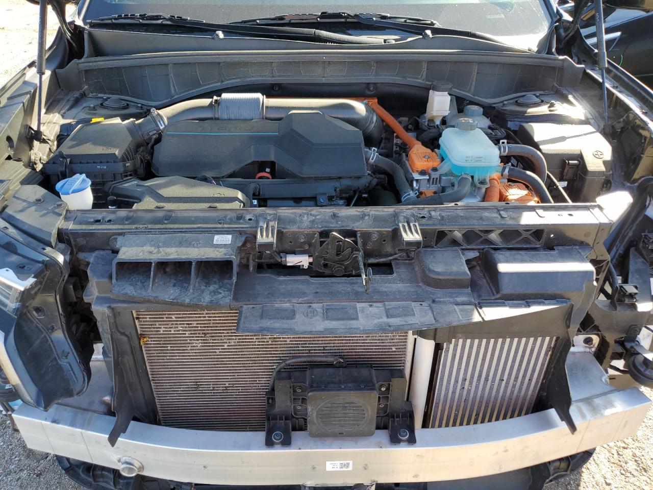 2023 Kia Sorento Sx Prestige VIN: KNDRMDLH0P5137523 Lot: 85597785