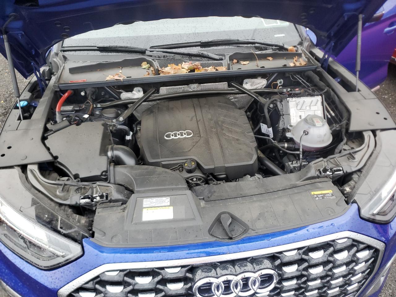 2024 Audi Q5 Sportback Prm Pls 45 VIN: WA15AAFY5R2088755 Lot: 86426835