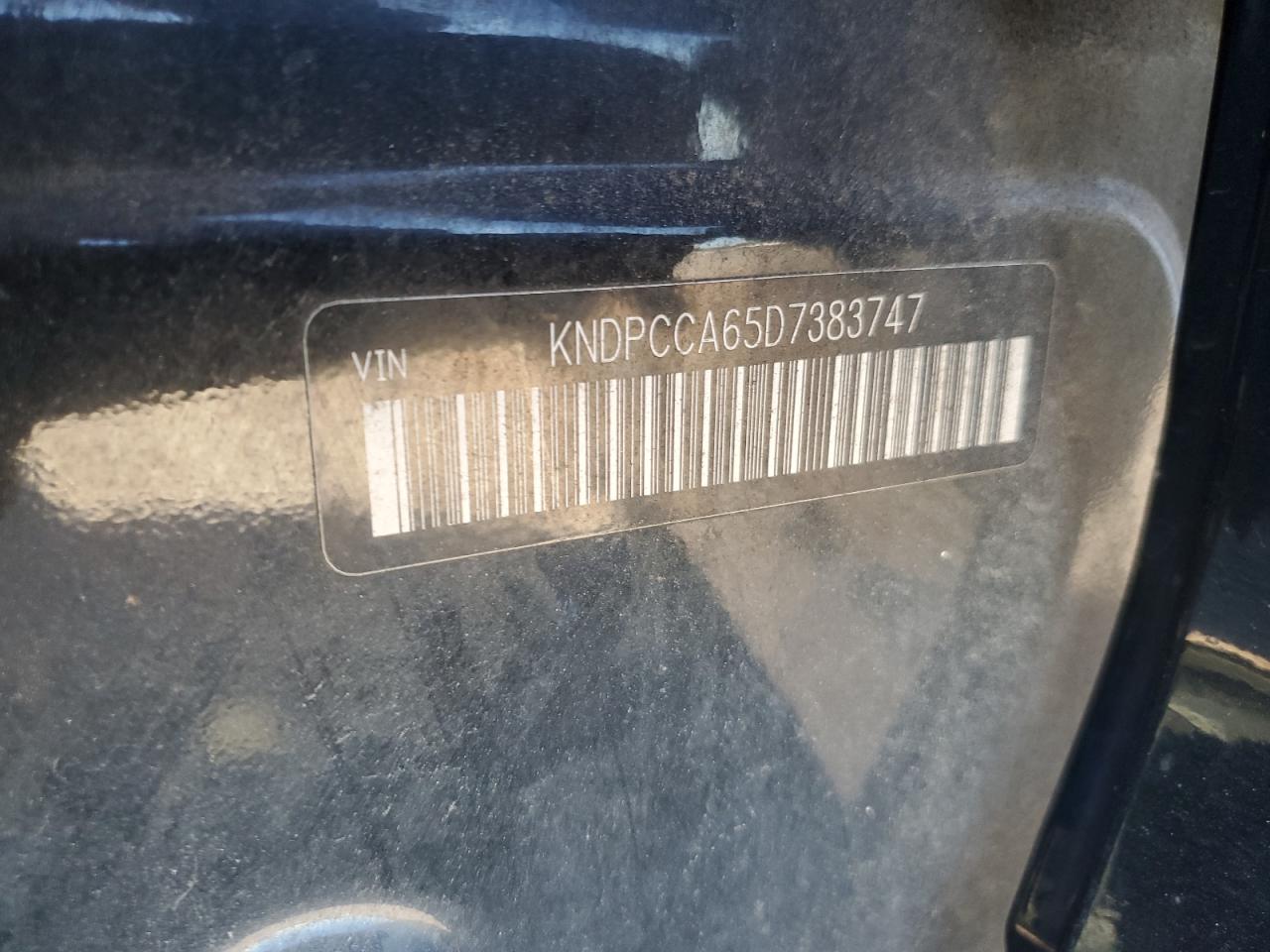 2013 Kia Sportage Sx VIN: KNDPCCA65D738374 Lot: 86113125