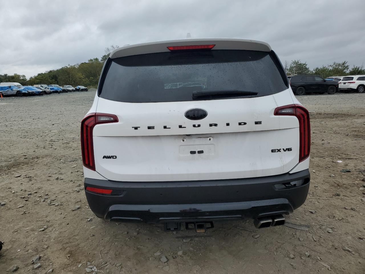 2021 Kia Telluride Ex VIN: 5XYP3DHC8MG158372 Lot: 86091115