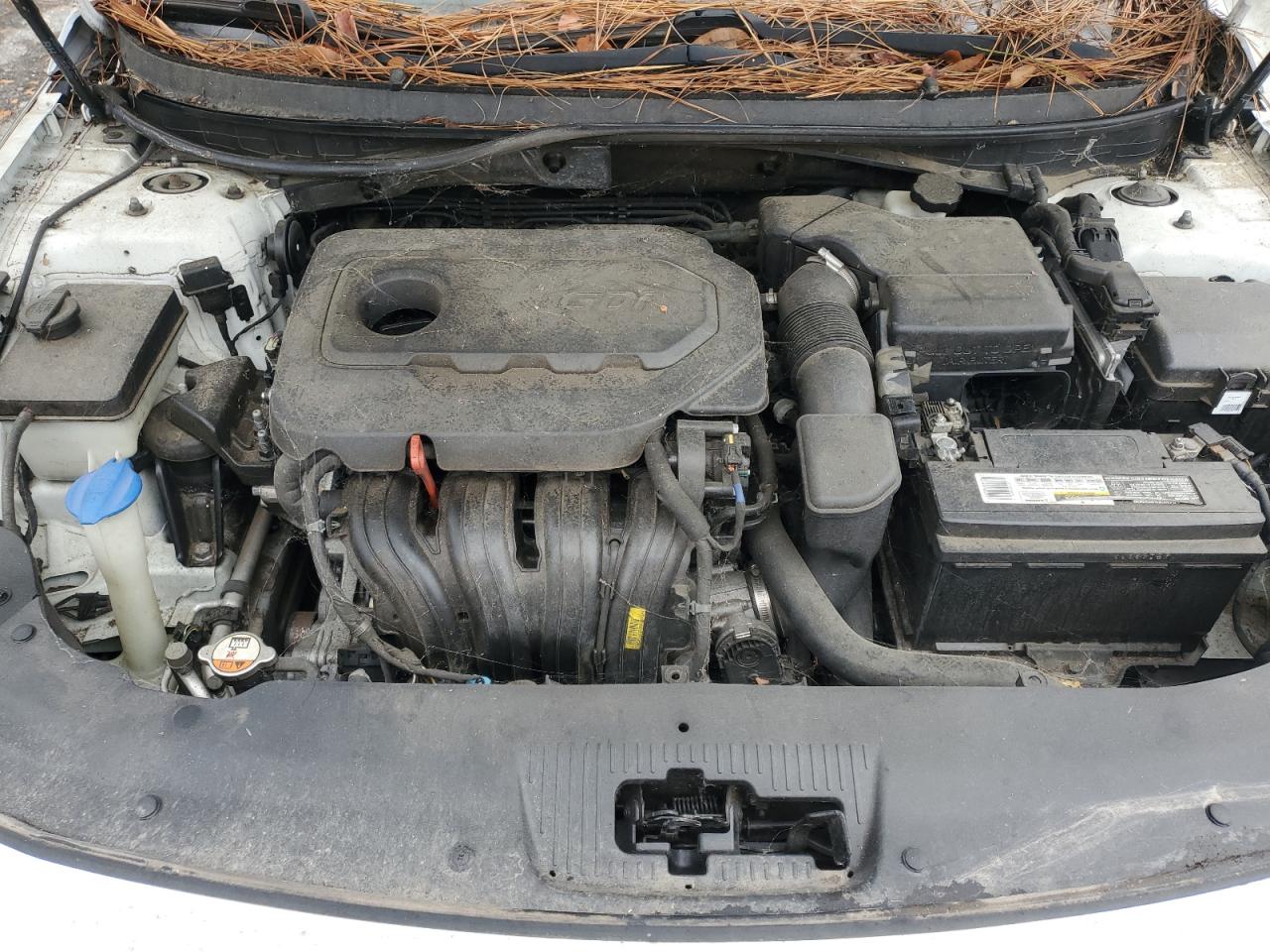 2016 Hyundai Sonata Se VIN: 5NPE24AF1GH372972 Lot: 90875805