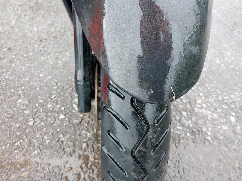 2023 YAMAHA DELIGHT 125 (LTS 125-C) 