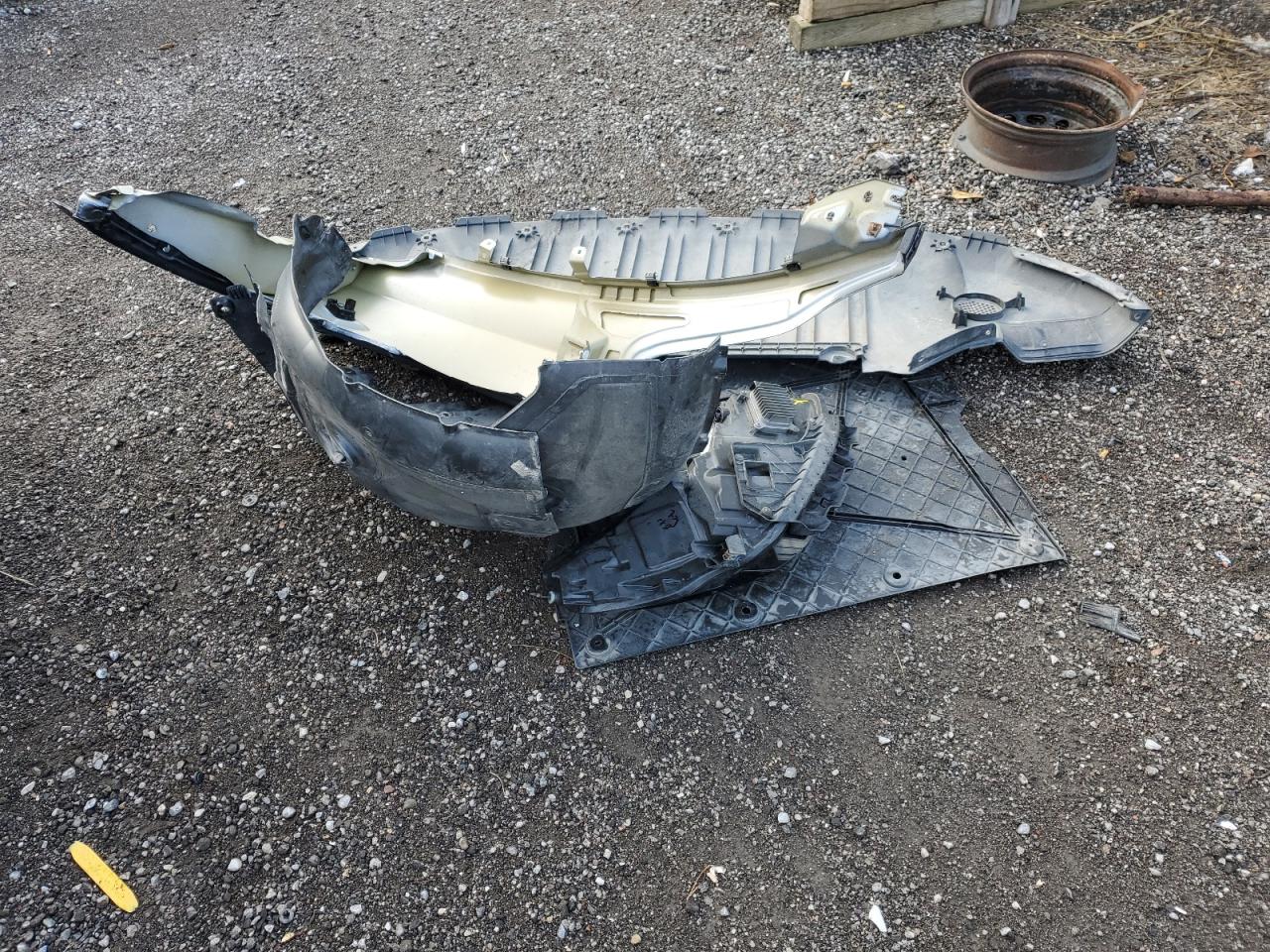 2023 Tesla Model Y VIN: 7SAYGDEE7PF774092 Lot: 86840125