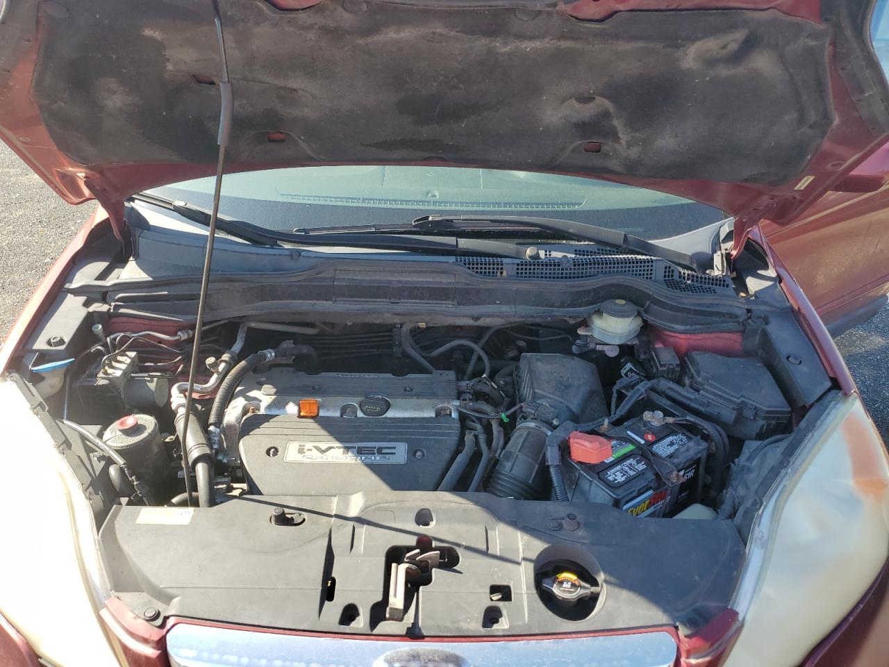 2008 Honda Cr-V Exl VIN: JHLRE487X8C034039 Lot: 86121895