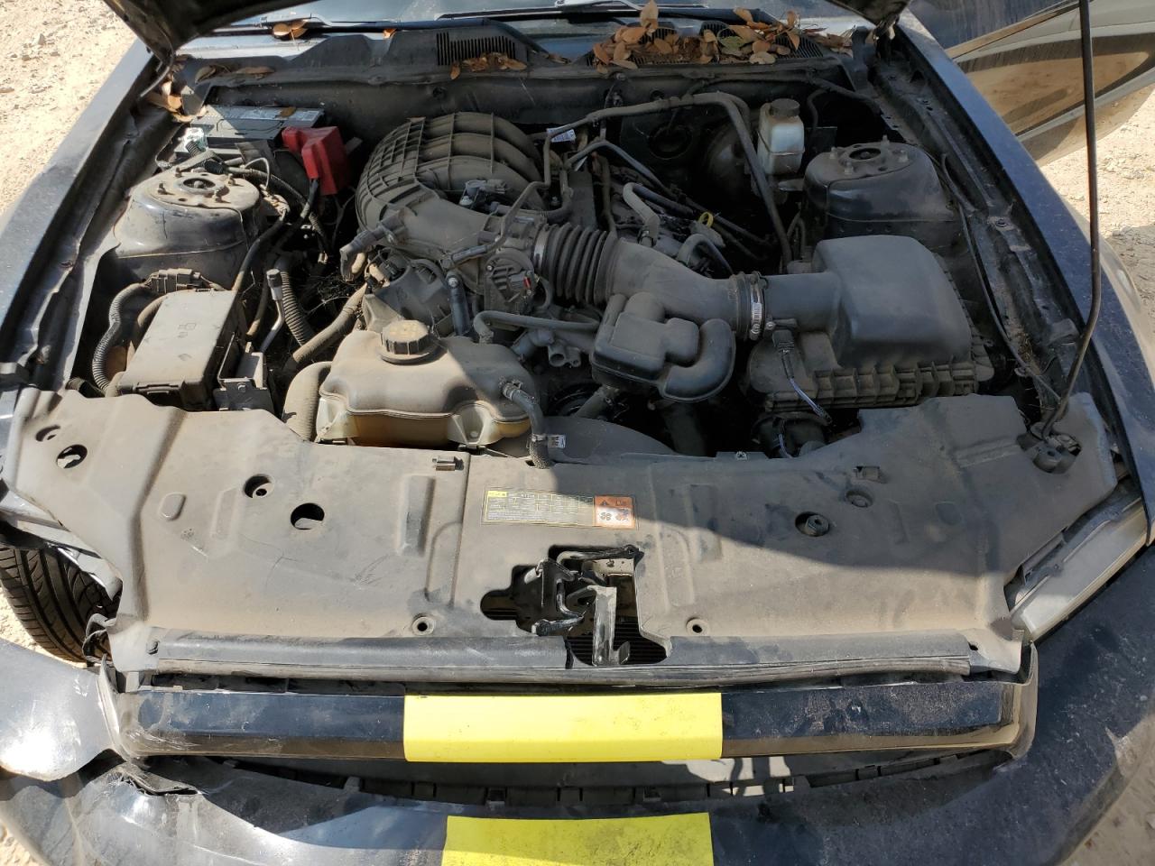 2013 Ford Mustang VIN: 1ZVBP8AM2D5206298 Lot: 87101075