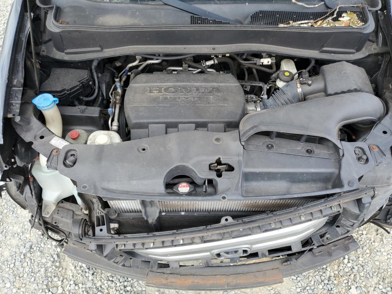 2011 Honda Pilot Exl VIN: 5FNYF4H51BB077750 Lot: 82295545