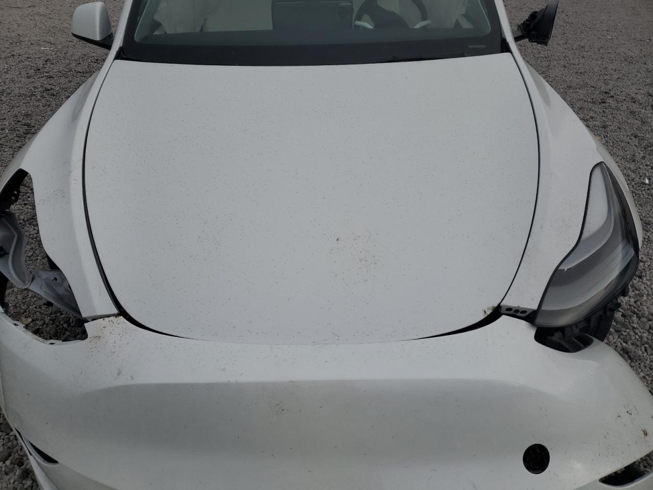 2023 Tesla Model Y VIN: 7SAYGDEF9PF907430 Lot: 87430185