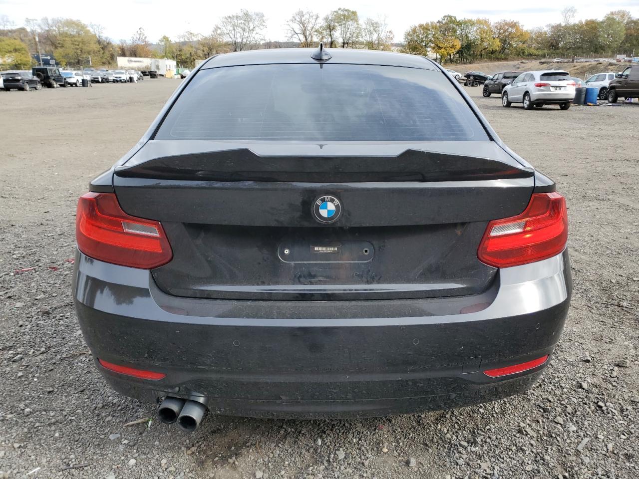 2015 BMW 228 Xi VIN: WBA1F7C57FVX96175 Lot: 82778195