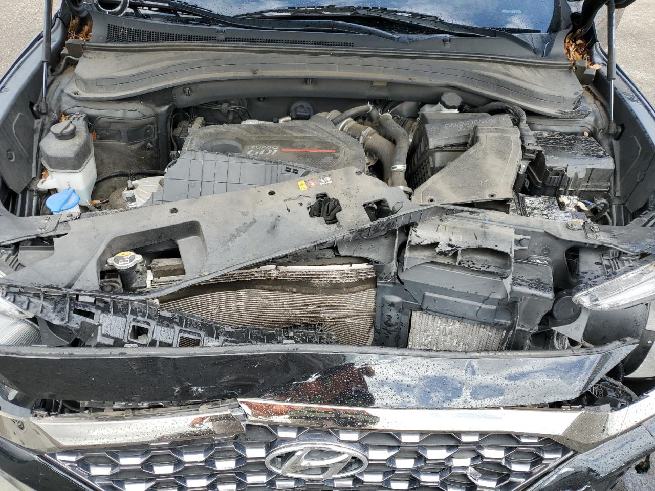 2020 Hyundai Santa Fe Limited VIN: 5NMS53AA3LH254826 Lot: 85717075