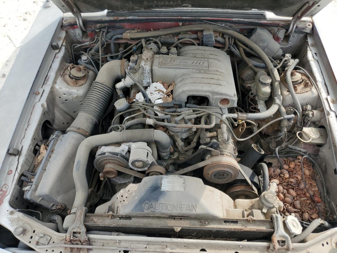 1987 Ford Mustang Gt VIN: 1FABP42E4HF176004 Lot: 89648885