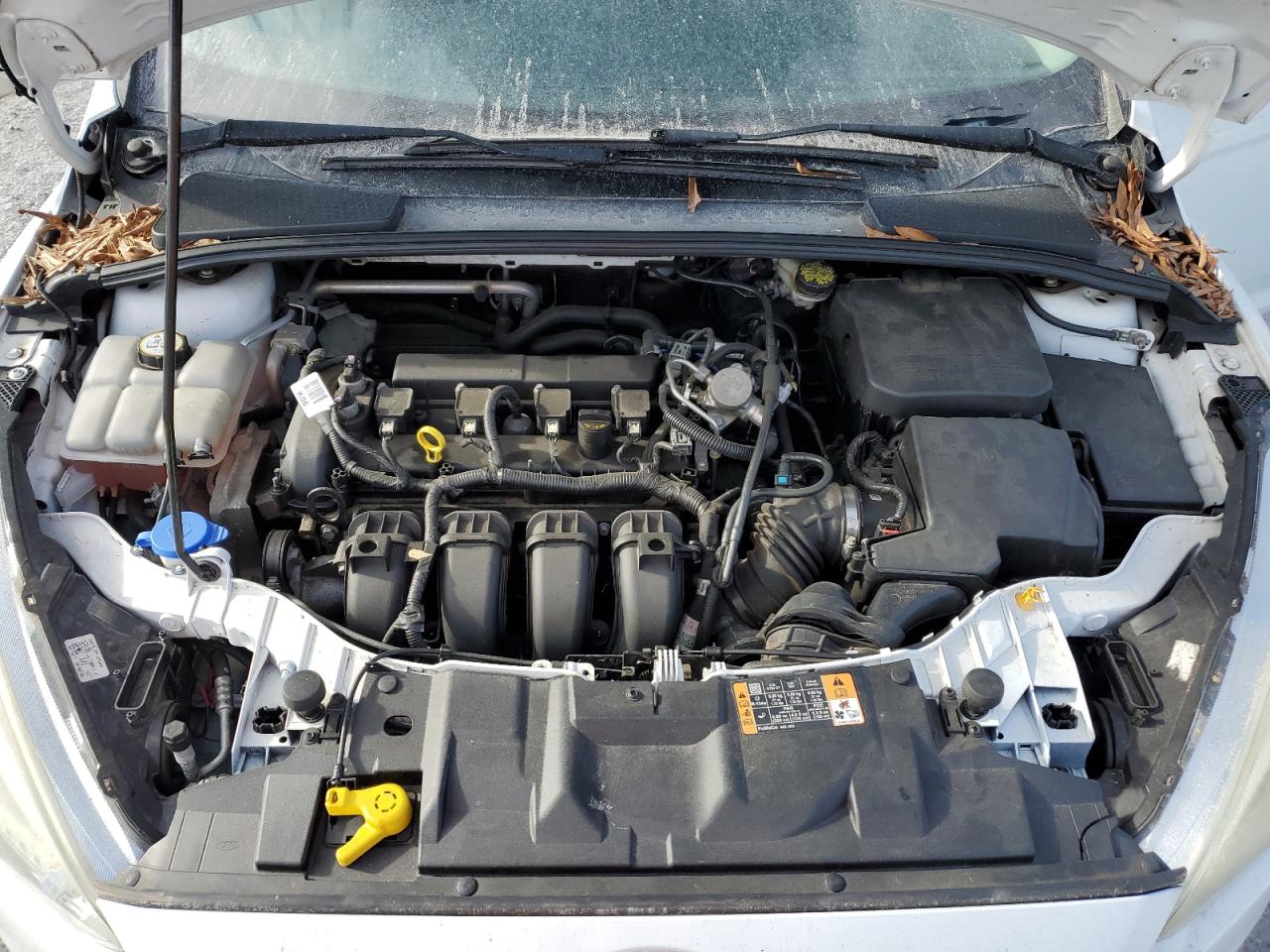 2016 Ford Focus Se VIN: 1FADP3K29GL325175 Lot: 84707935