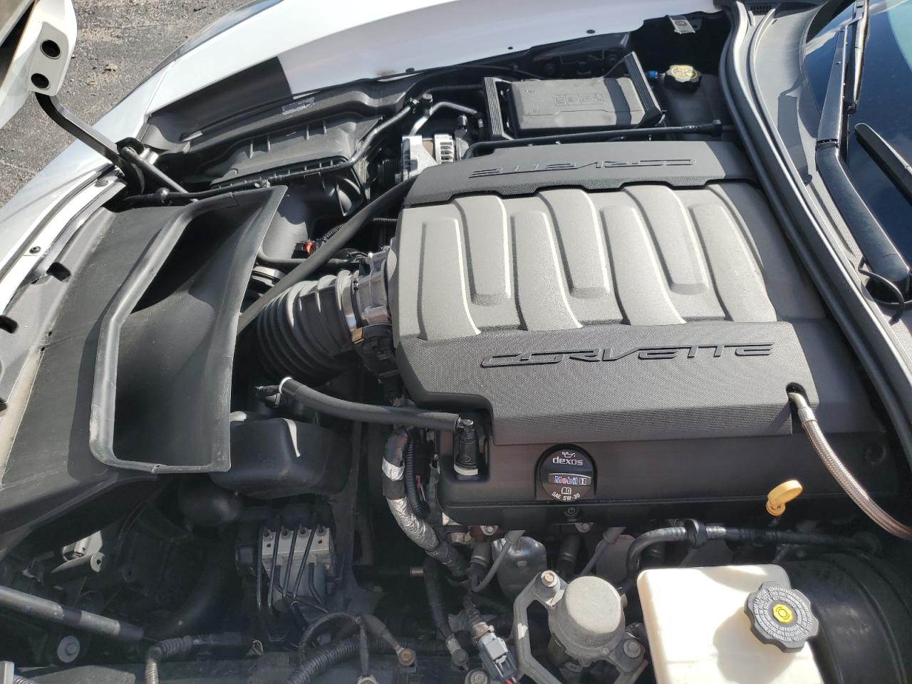 C7 C7