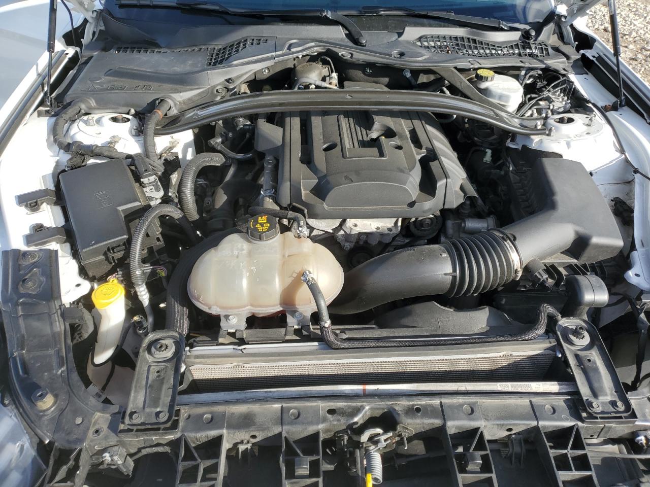 2018 Ford Mustang VIN: 1FA6P8TH6J5176972 Lot: 82636695