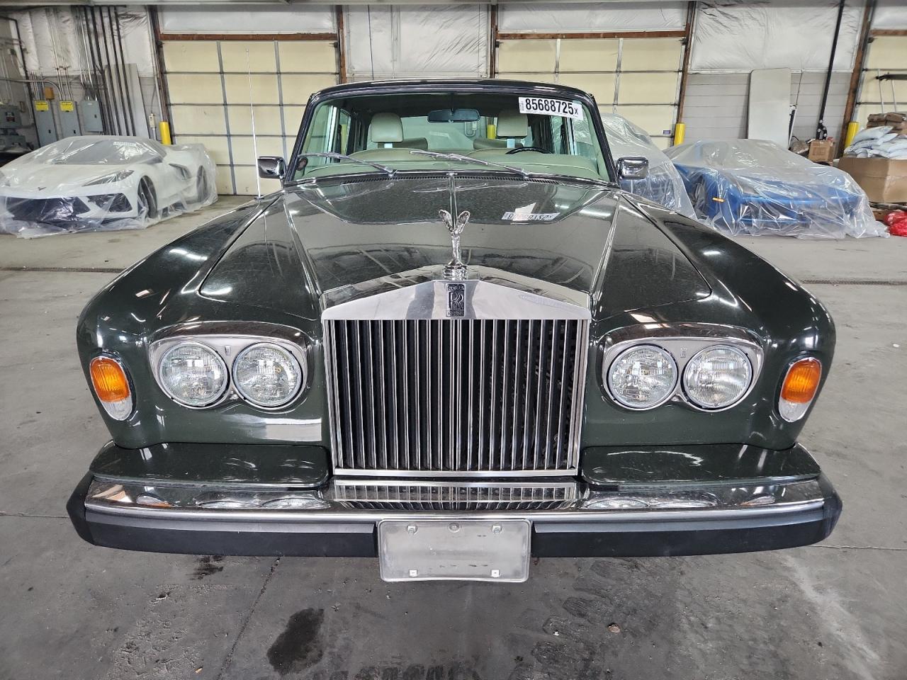 Silver Shadow Silver Shadow