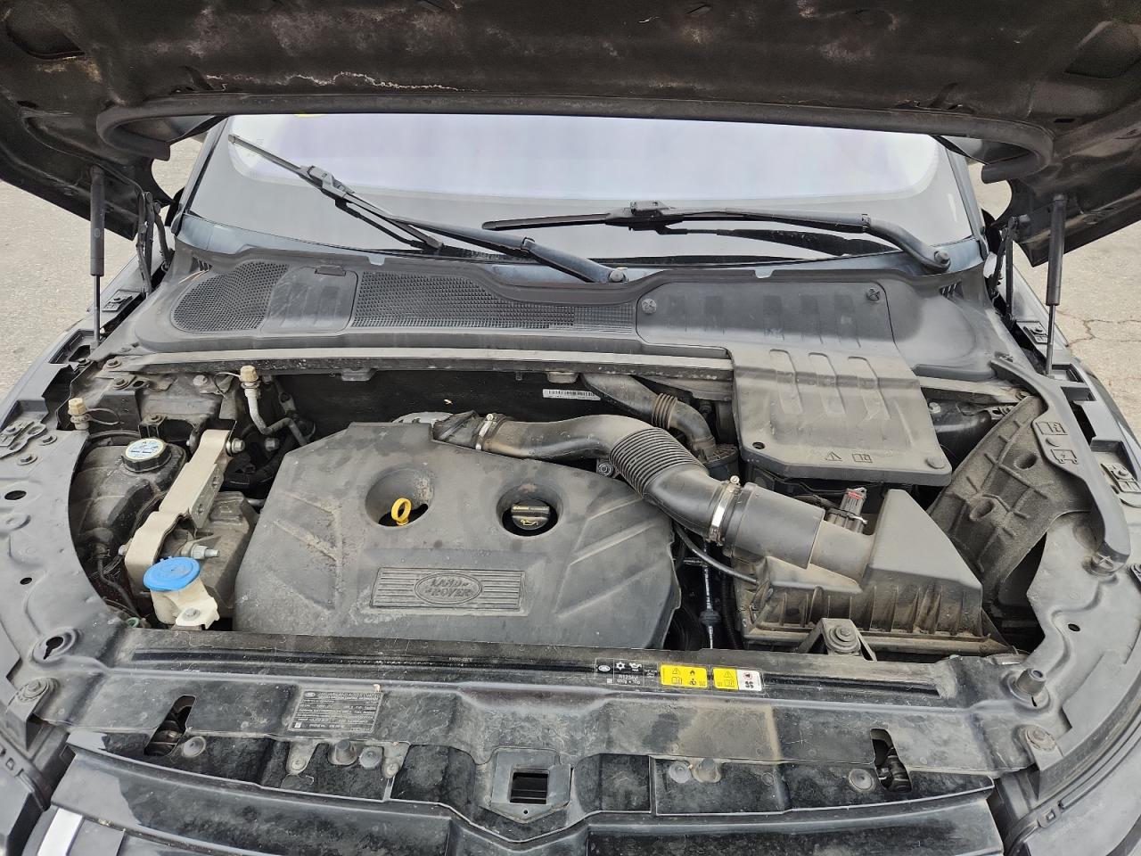 2017 Land Rover Range Rover Evoque Se VIN: SALVP2BG8HH170202 Lot: 82769745