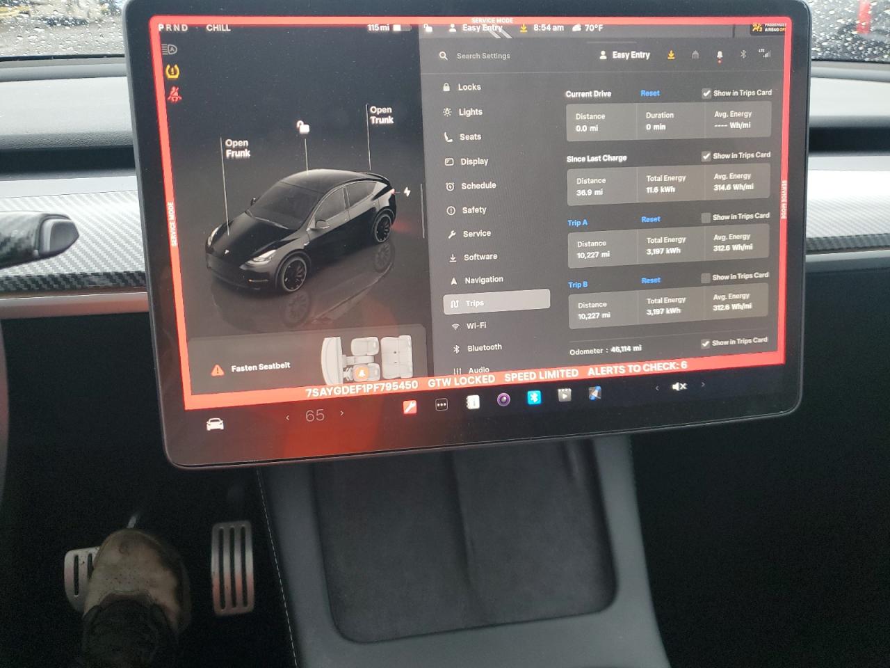 2023 Tesla Model Y VIN: 7SAYGDEF1PF795450 Lot: 84999435