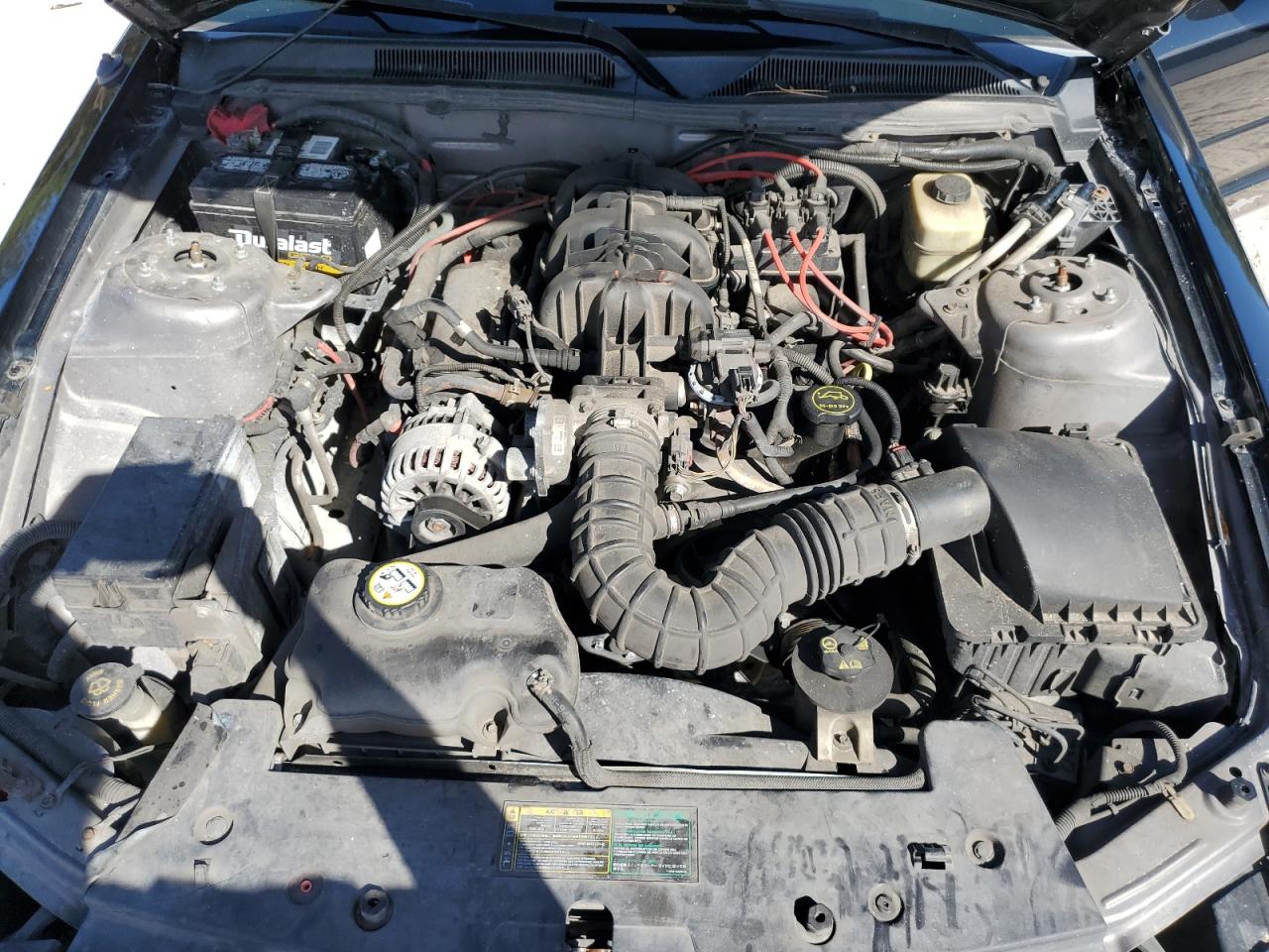 2006 Ford Mustang VIN: 1ZVFT80N565108814 Lot: 82576805