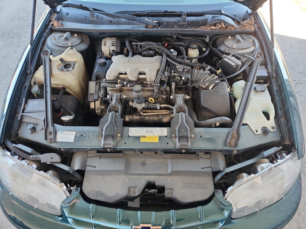 2001 Chevrolet Lumina VIN: 2G1WL52J311258984 Lot: 87075865