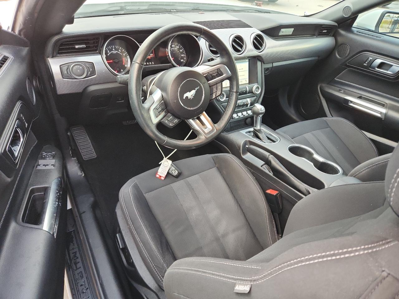 2019 Ford Mustang VIN: 1FA6P8TH8K5201534 Lot: 89562145