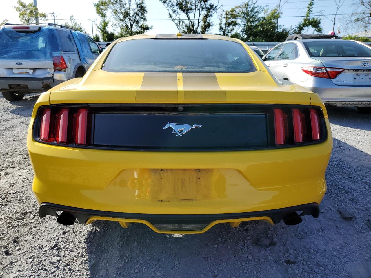 2017 Ford Mustang VIN: 1FA6P8TH4H5208716 Lot: 81965365