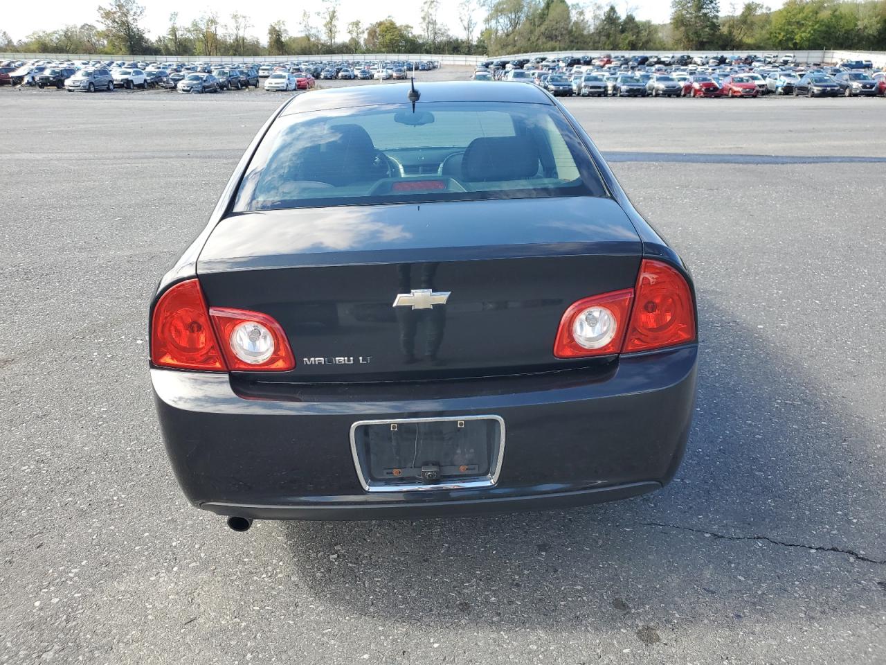 2010 Chevrolet Malibu VIN: 1G1ZC5EB7AF147638 Lot: 82306255