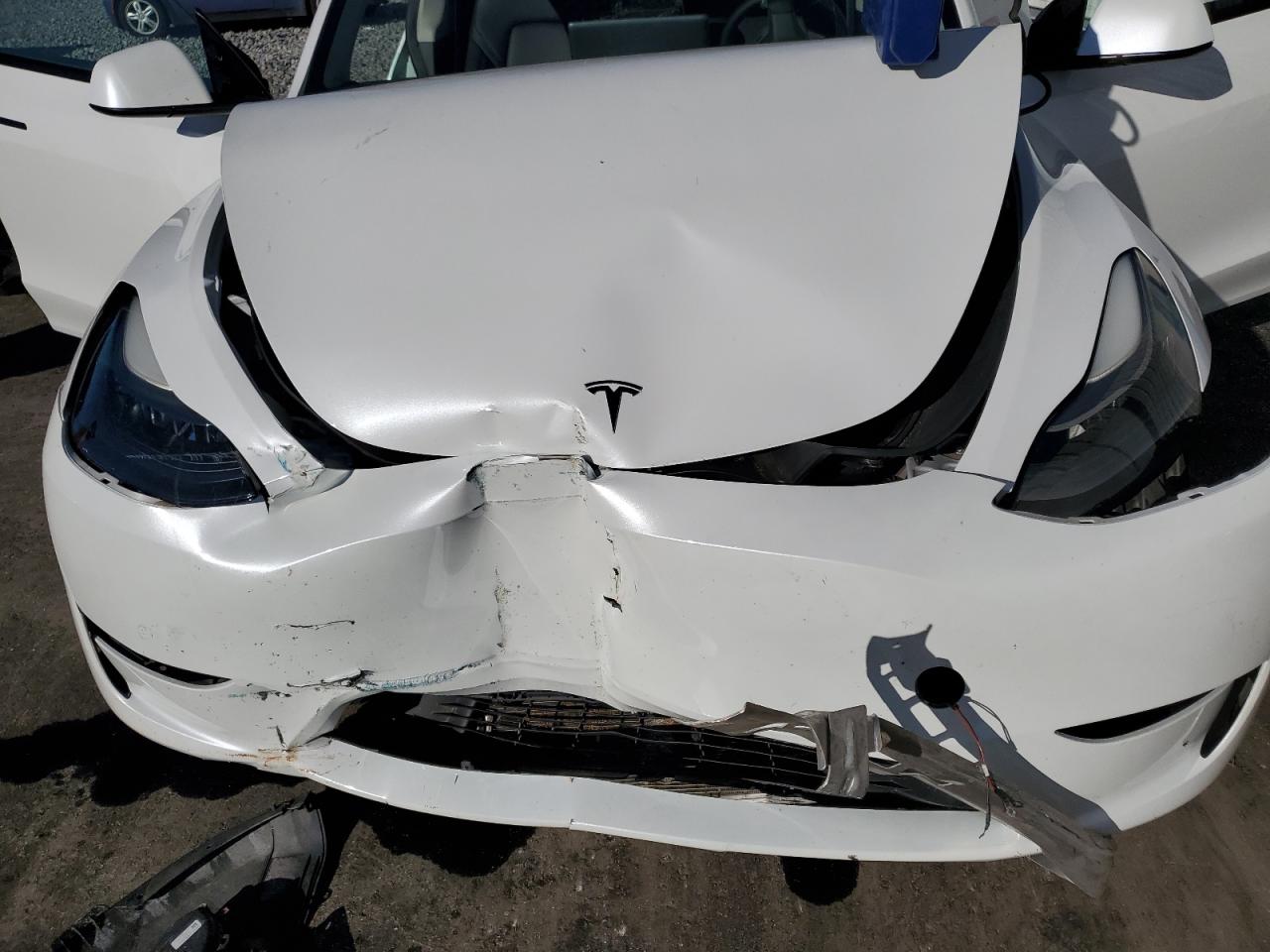 2023 Tesla Model Y VIN: 7SAYGDEFXPF714798 Lot: 90799295