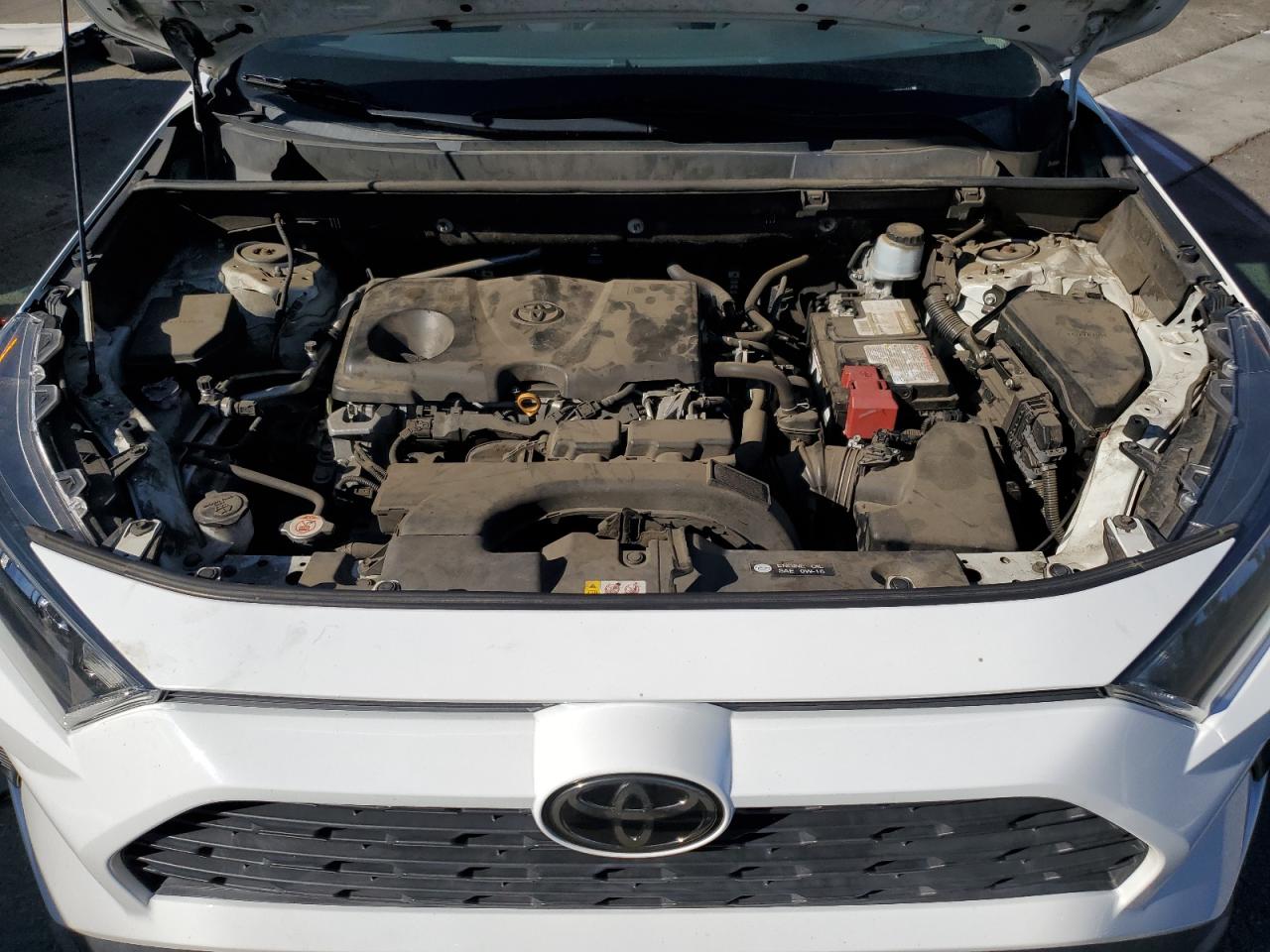 2019 Toyota Rav4 Le VIN: 2T3H1RFV7KC011889 Lot: 81972415