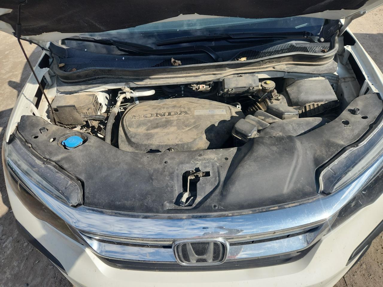 2019 Honda Pilot Ex VIN: 5FNYF6H31KB065026 Lot: 81438695