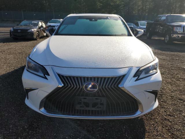  LEXUS ES300 2019 Белы