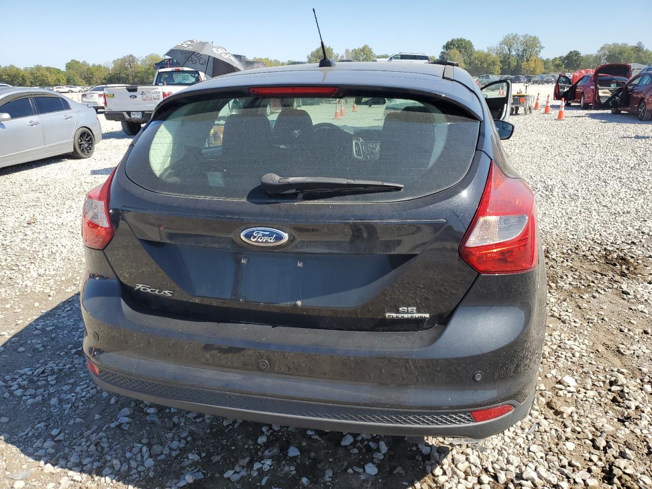 2014 Ford Focus Se VIN: 1FADP3K22EL174385 Lot: 82113785