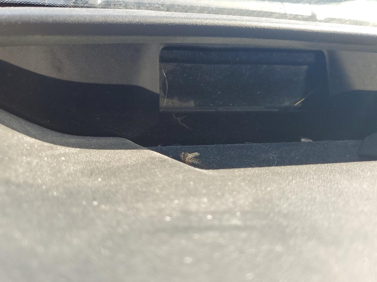 2008 Toyota Prius VIN: JTDKB20U087803914 Lot: 83953645