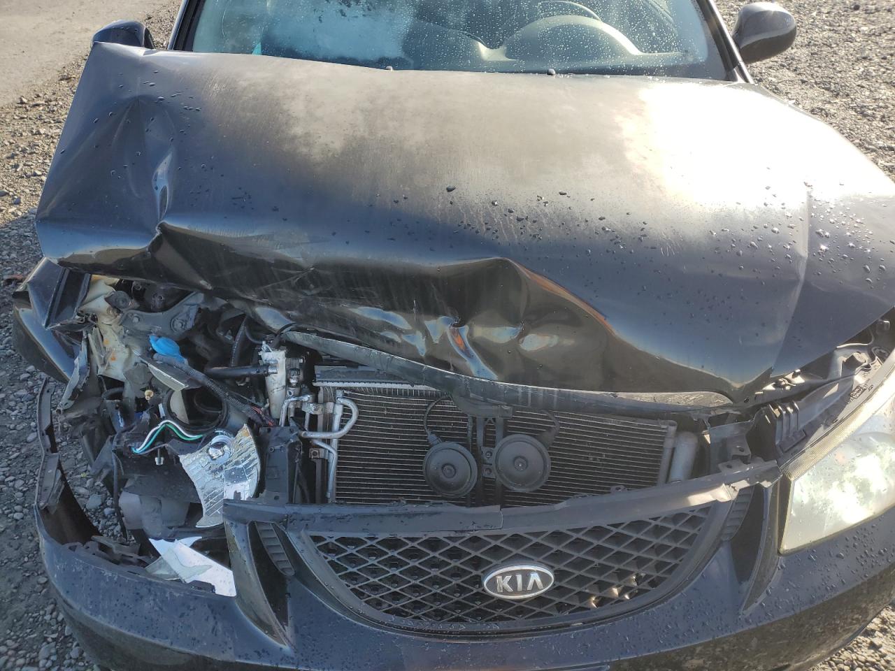 2005 Kia Spectra Lx VIN: KNAFE121355146102 Lot: 86250985