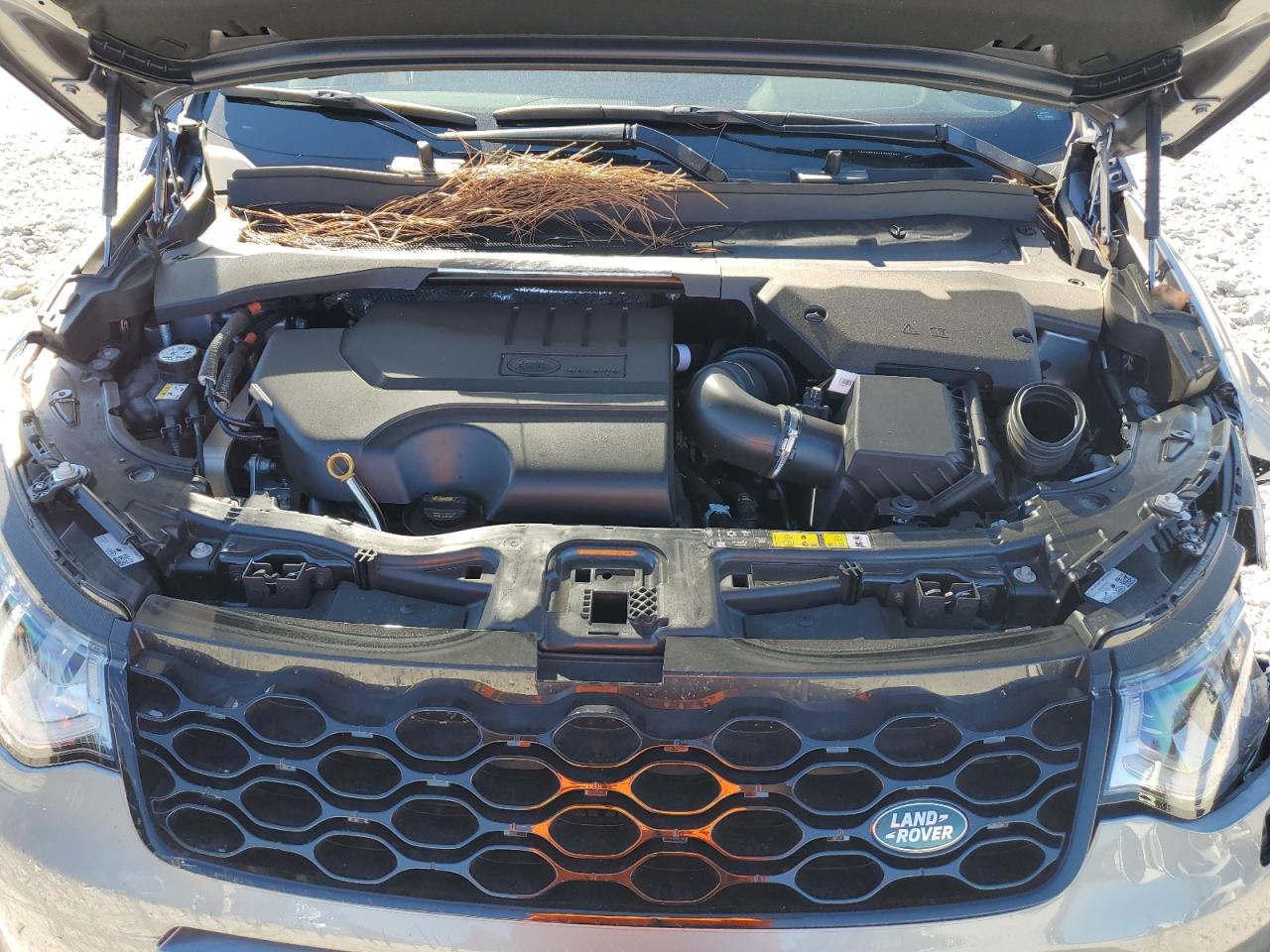 2024 Land Rover Discovery Sport S VIN: SALCJ2FX0RH348771 Lot: 86887975